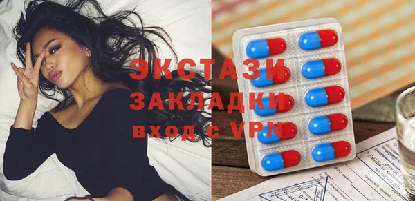 гидра Абаза